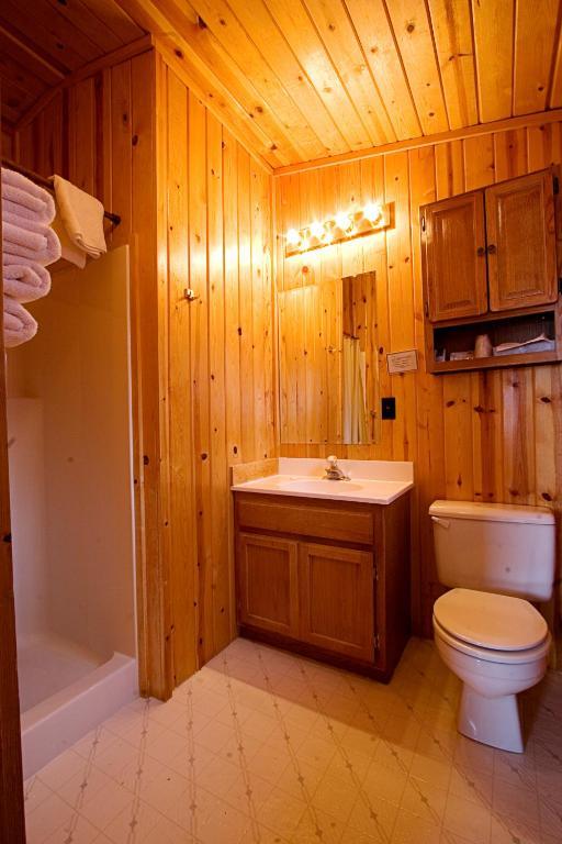 Teton Valley Cabins Дріґґс Номер фото