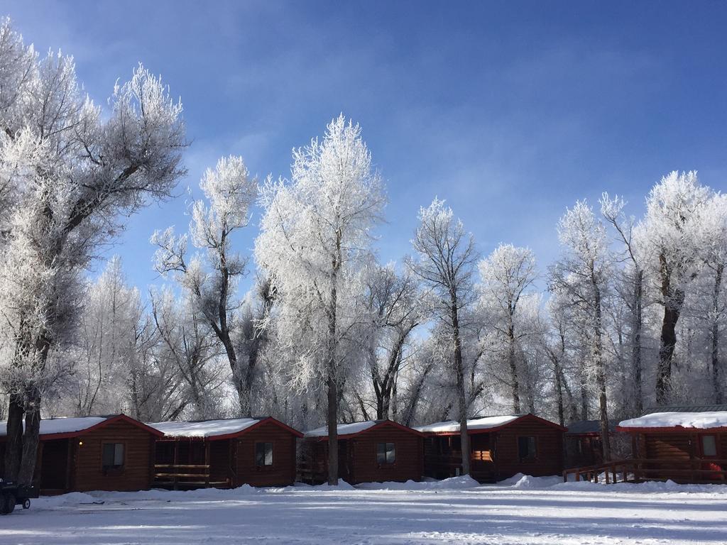 Teton Valley Cabins Дріґґс Екстер'єр фото