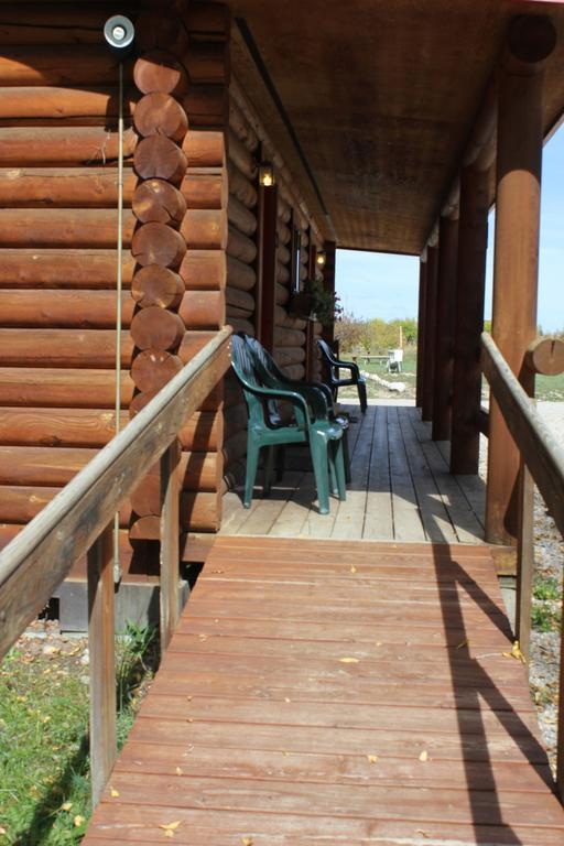 Teton Valley Cabins Дріґґс Екстер'єр фото