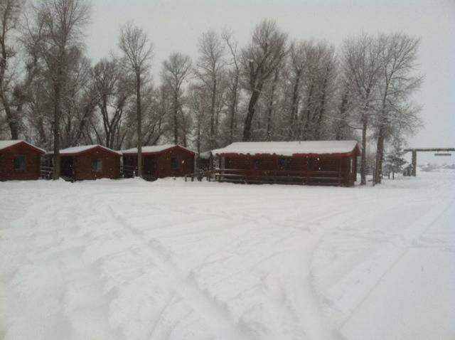 Teton Valley Cabins Дріґґс Екстер'єр фото